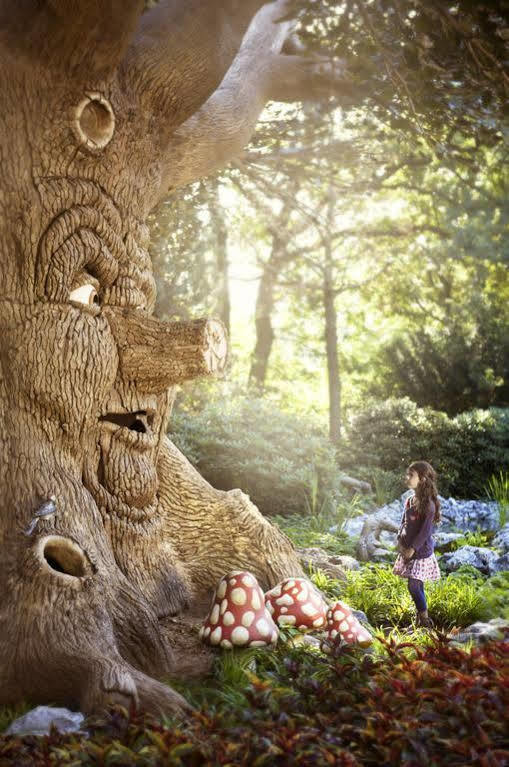 فندق كاتْسهوفيلفي  Efteling Bosrijk المظهر الخارجي الصورة
