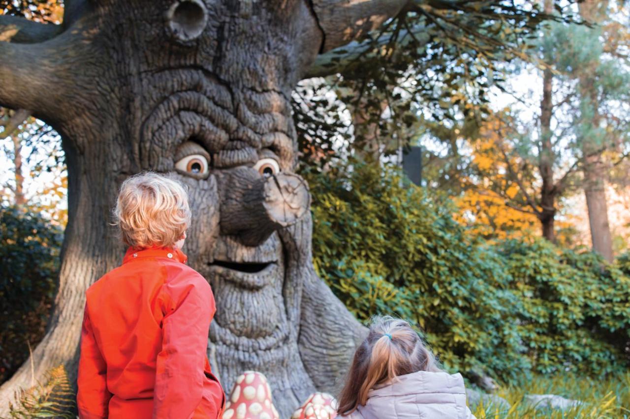 فندق كاتْسهوفيلفي  Efteling Bosrijk المظهر الخارجي الصورة